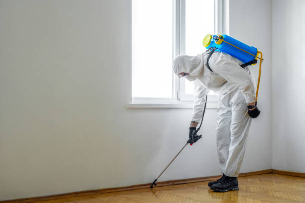 Emergency Pest Control in Valparaiso, FL